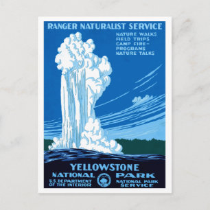 Yellowstone National Park Postcard