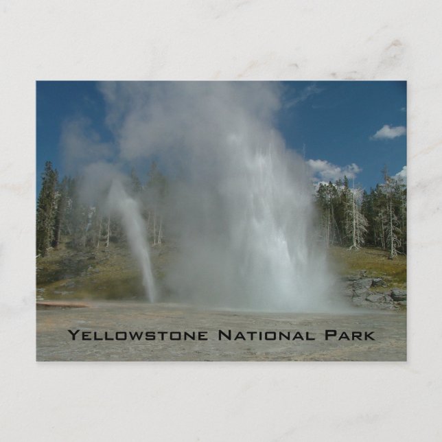 Yellowstone National Park Postcard (Front)