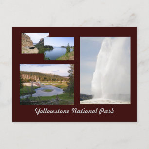 Yellowstone National Park Postcard
