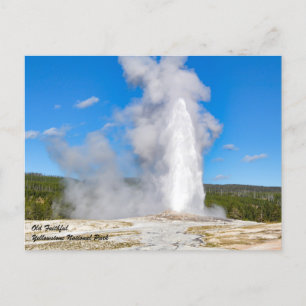 Yellowstone National Park Postcard