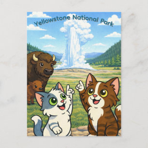 Yellowstone National Park Postcard