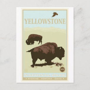 Yellowstone National Park Postcard
