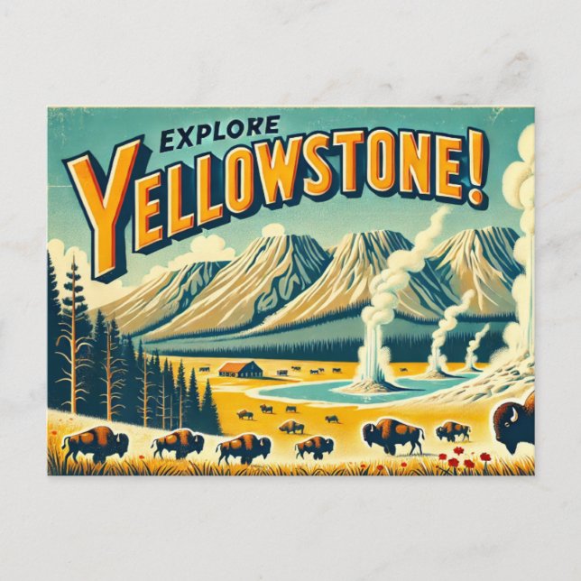  Yellowstone National Park  Postcard (Front)