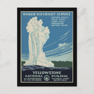 Yellowstone National Park ranger Postcard