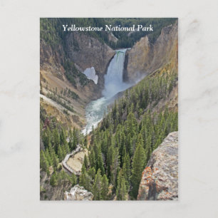 Yellowstone National Park Scenic View Postcard