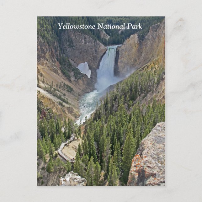 Yellowstone National Park Scenic View Postcard (Front)
