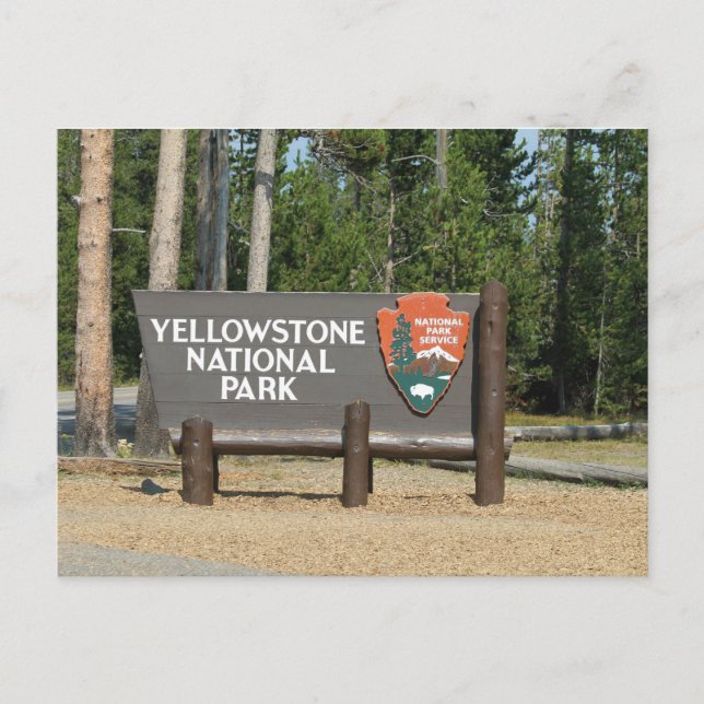 Yellowstone National Park, sign, Wyoming, U. S. Postcard (Front)