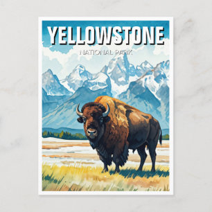 Yellowstone National Park Souvenir Postcard