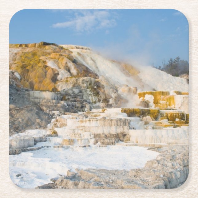 Yellowstone National Park Square Paper Coaster (Front)