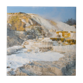 Yellowstone National Park Tile