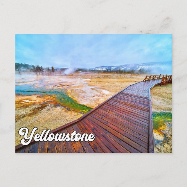Yellowstone National Park, United States Postcard (Front)