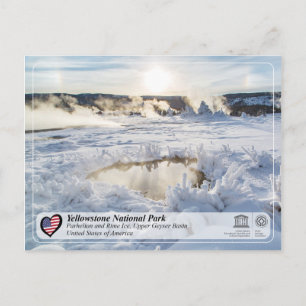 Yellowstone National Park - Upper Geyser Basin Postcard