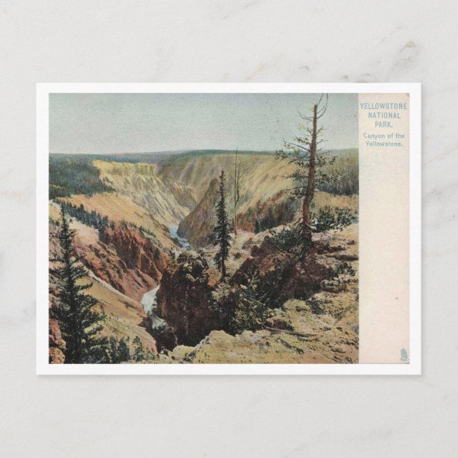 Yellowstone National Park, Vintage Postcard (Front)