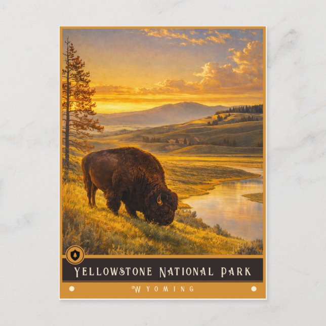 Yellowstone National Park | Vintage Postcard (Front)