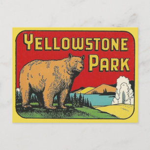 Yellowstone National Park Vintage Travel Postcard