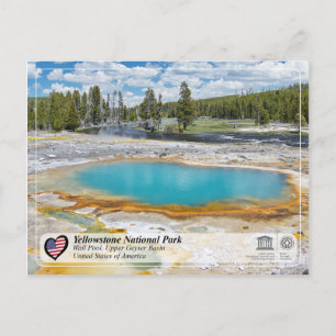 Yellowstone National Park - Wall Pool Postcard
