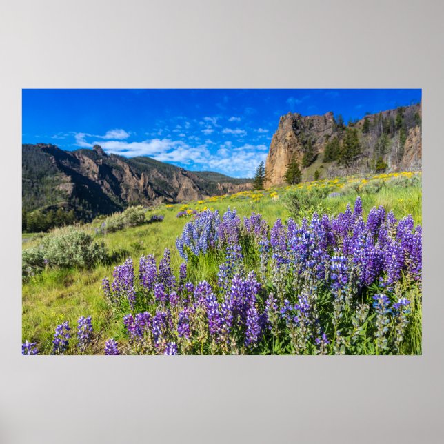 Yellowstone National Park Wildflowers Landscape Poster (Front)