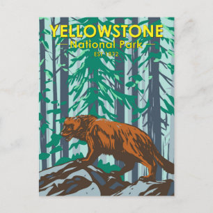Yellowstone National Park Wolverine Vintage Postcard