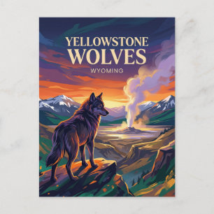Yellowstone National Park Wyoming Postcard