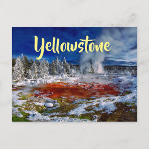 Yellowstone National Park Wyoming Postcard