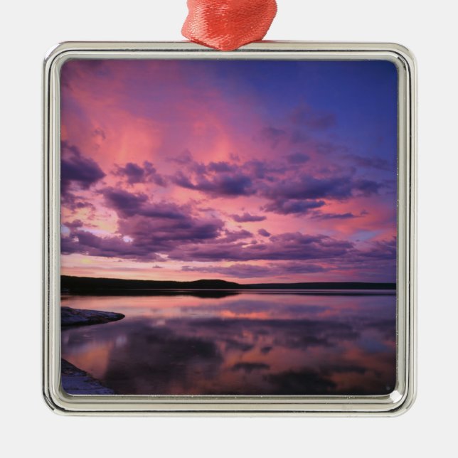 Yellowstone National Park, Wyoming. USA. Metal Tree Decoration (Front)