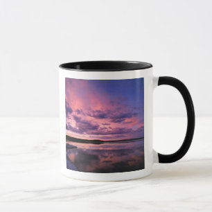 Yellowstone National Park, Wyoming. USA. Mug