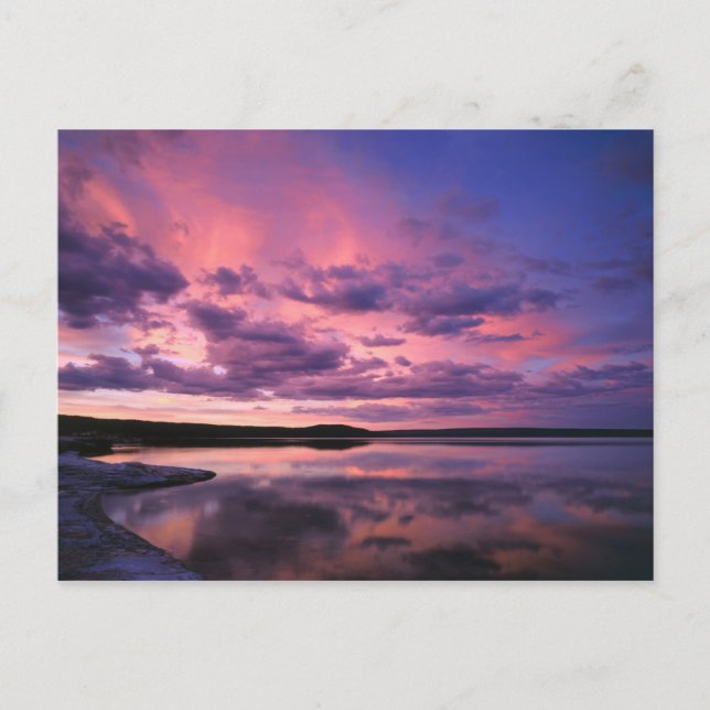 Yellowstone National Park, Wyoming. USA. Postcard (Front)