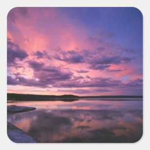 Yellowstone National Park, Wyoming. USA. Square Sticker