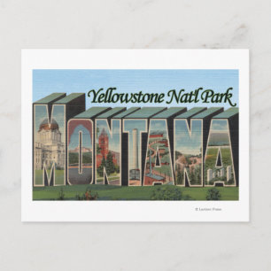 Yellowstone Nat'l Park, Montana Postcard