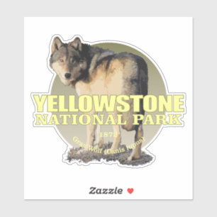 Yellowstone NP (Wolf)