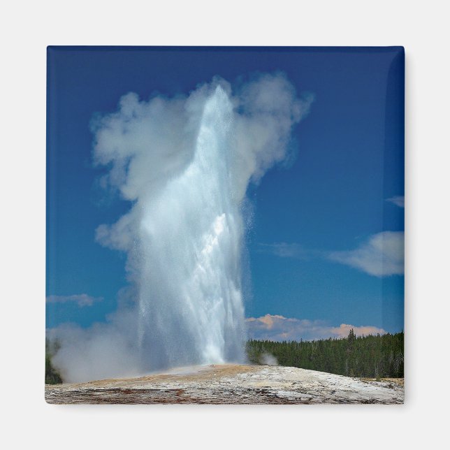 Yellowstone Old Faithful Landscape Photo Magnet (Front)