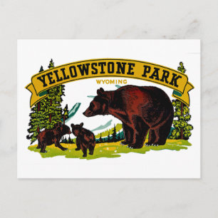 Yellowstone Park Postcard