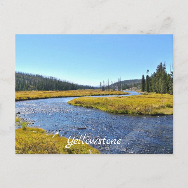 Yellowstone postcard (Front)
