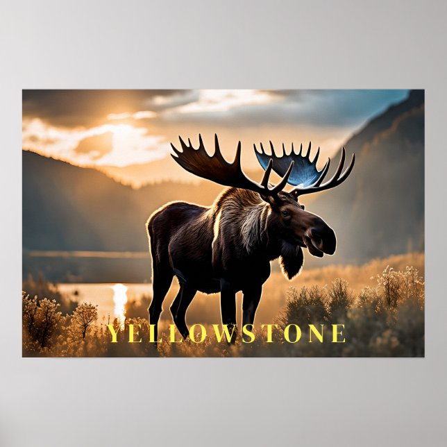 Yellowstone Poster Art  (Front)