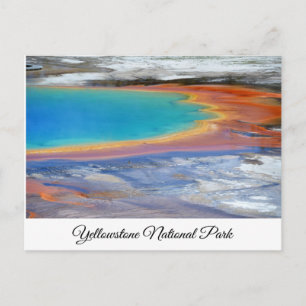 Yellowstone Prismatic Spring Wyoming Post Card