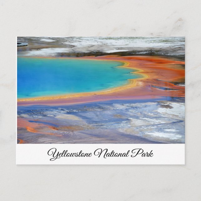 Yellowstone Prismatic Spring Wyoming Post Card (Front)