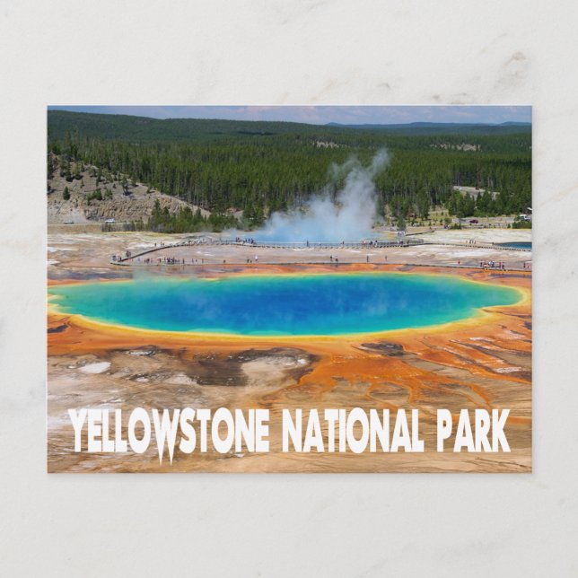 Yellowstone Prismatic Spring Wyoming, USA Postcard (Front)