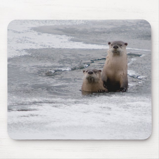Yellowstone River Otters Mouse Mat (Front)
