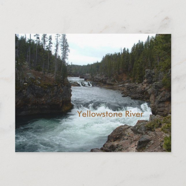Yellowstone River Postcard (Front)