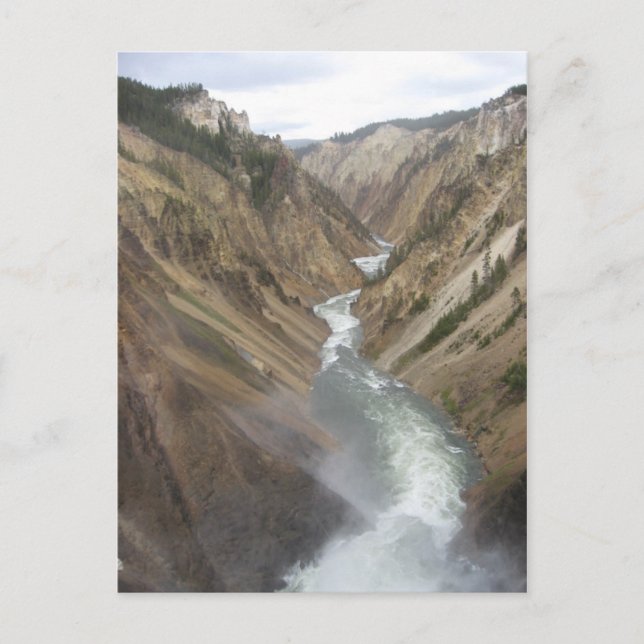 Yellowstone River Postcard (Front)