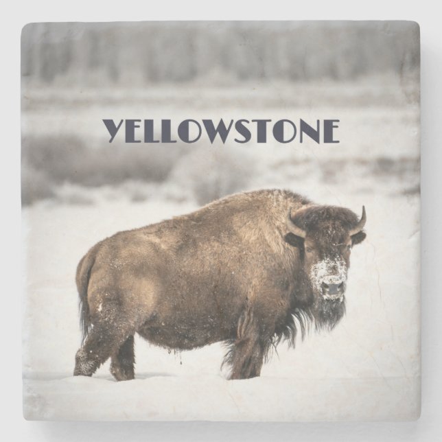 Yellowstone Snowy Buffalo Souvenir Coaster (Front)