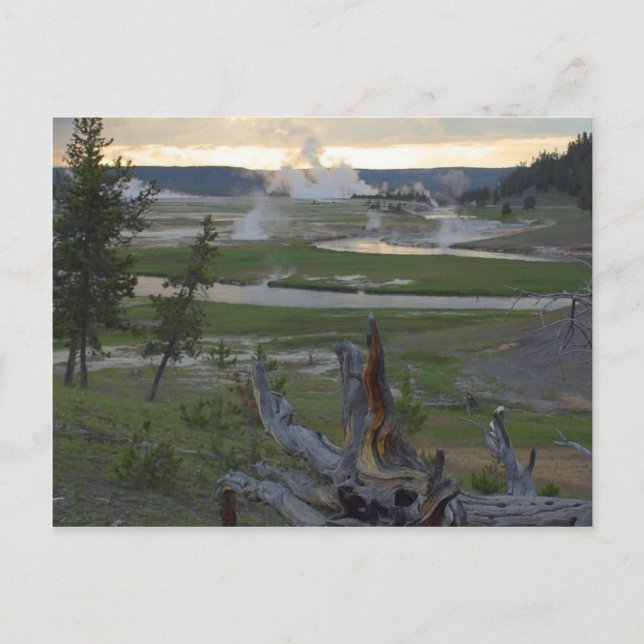 Yellowstone Sunsets Postcard (Front)