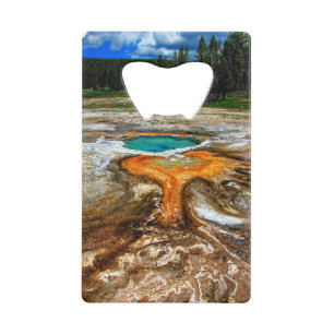 Yellowstone Thermal Pool