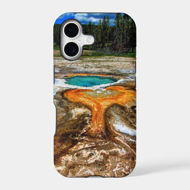 Yellowstone Thermal Pool (Back)