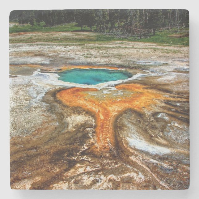 Yellowstone Thermal Pool Stone Coaster (Front)