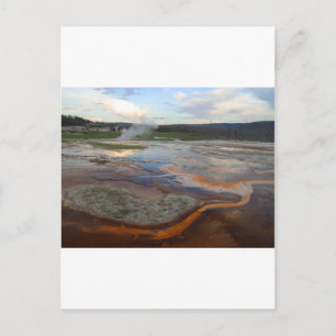 Yellowstone Thermal Pools Postcard