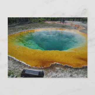 Yellowstone Thermal Spring In Morning Postcard