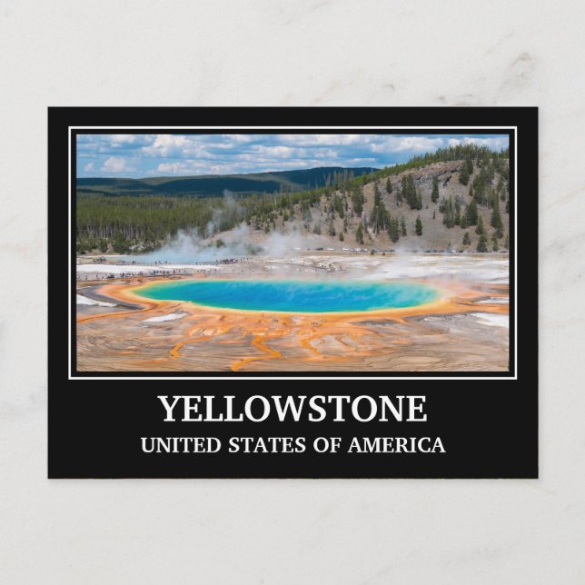 Yellowstone USA Postcard (Front)