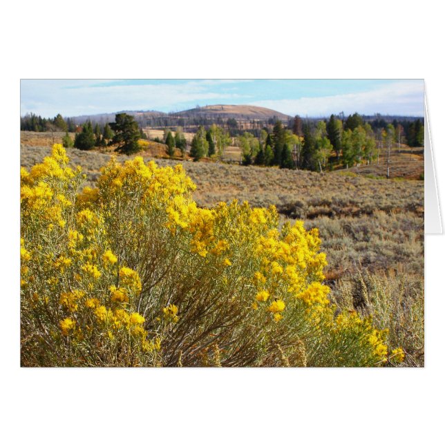 Yellowstone vista (Front Horizontal)