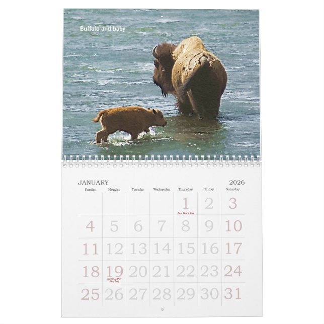Yellowstone Wildlife 2008 Calendar (Jan 2026)